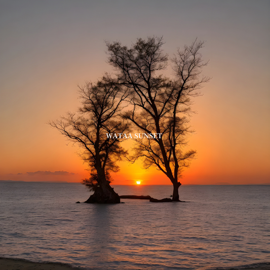WATAA - Sunset